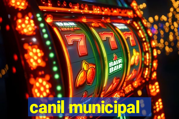 canil municipal